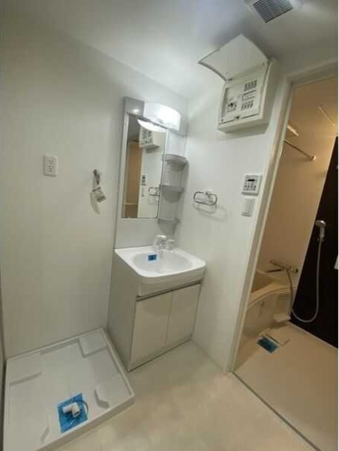 PLATZ TACHIBANA(プラッツタチバナ)の洗面所