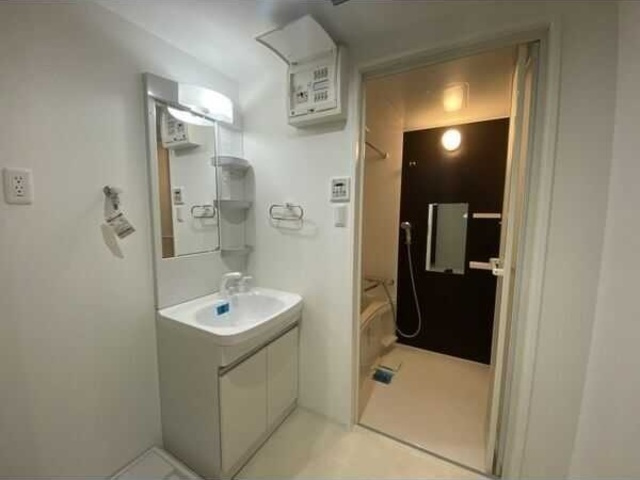 PLATZ TACHIBANA(プラッツタチバナ)の洗面所