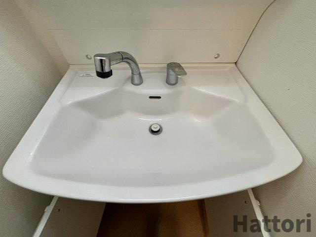 RIDGEガーデン江坂Ⅱの洗面所