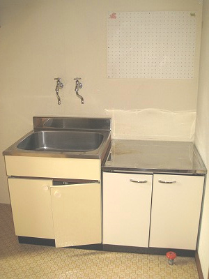 遠野市穀町の一戸建ての洗面所