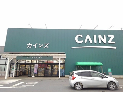 【周辺】 | クレメントパークＤ | カインズ　岩瀬店まで800m