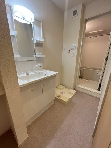 メゾン　ド　さちＡの洗面所