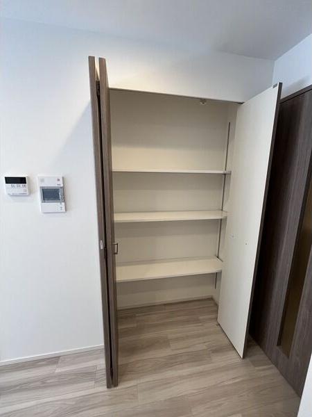 ルフォンプログレ南森町の収納