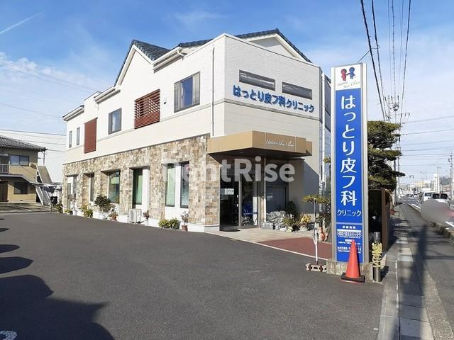 プラシード・Ｋ　Ｂのその他|その他