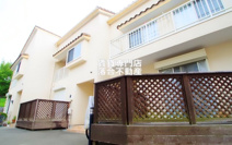 セレッソの画像