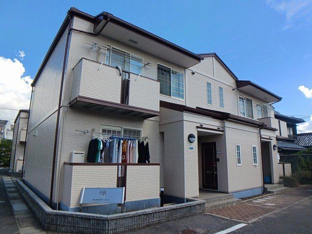 椿