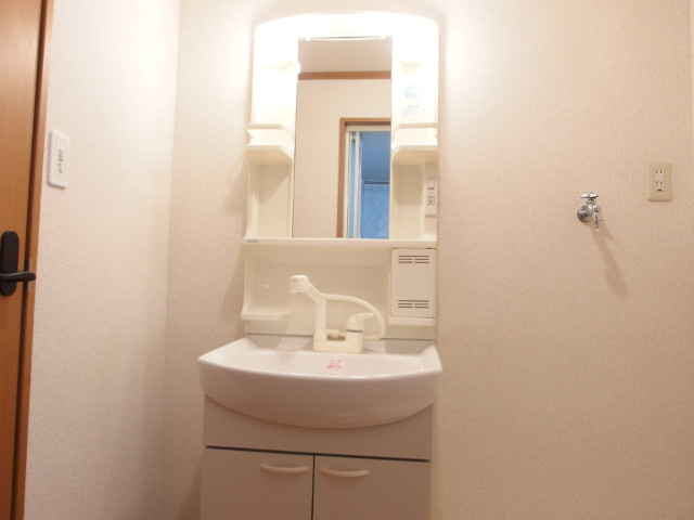 ルミナスハイツＮの洗面所