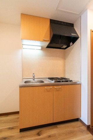 スカイコート本郷東大前第3のキッチン|システムキッチン