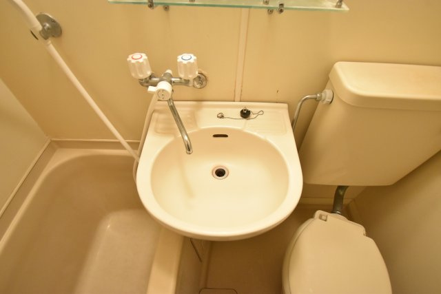 メゾン・ド・トレイユの洗面所