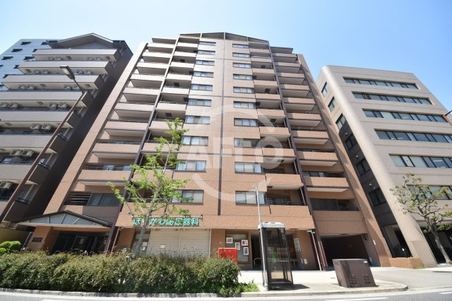 エル・セレーノ九条　九条南小学校区