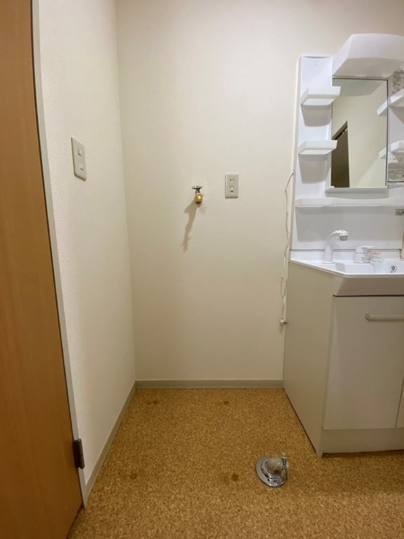 ディアス中津川Dの洗面所