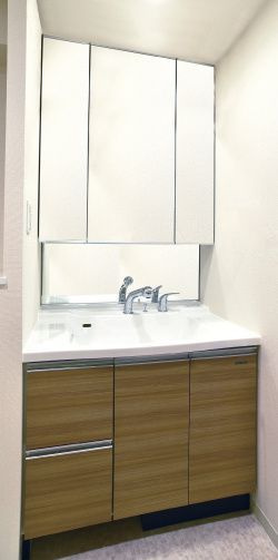 プレサンス上前津ディアシスの洗面所