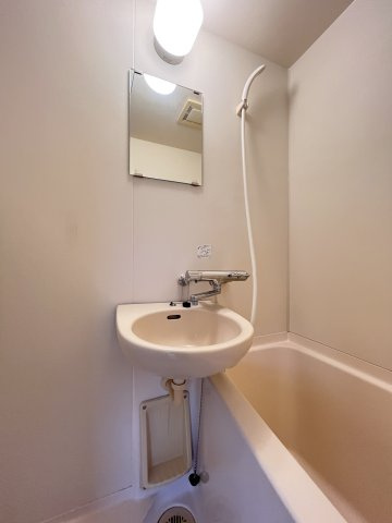 ラガールあびこの洗面所