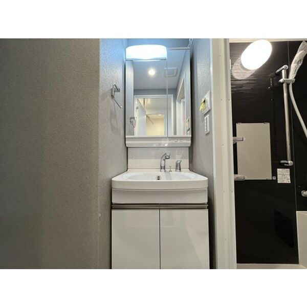 Excellent　Kishibeの洗面所