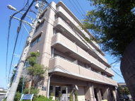 CORRECT FORET住道の画像