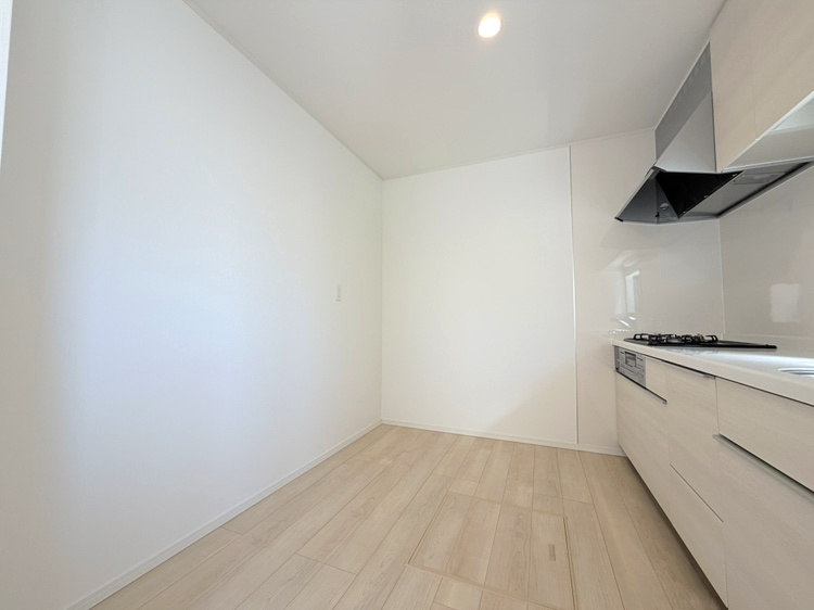 大門第5　1号棟のキッチン