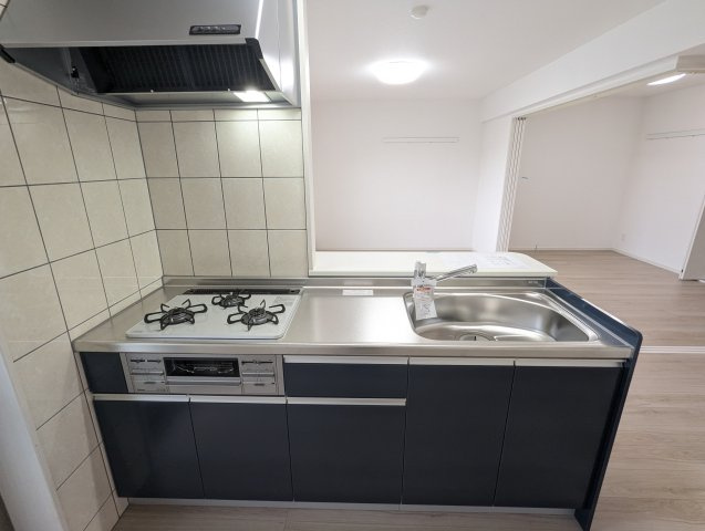 南城市大里字大城のアパートのキッチン