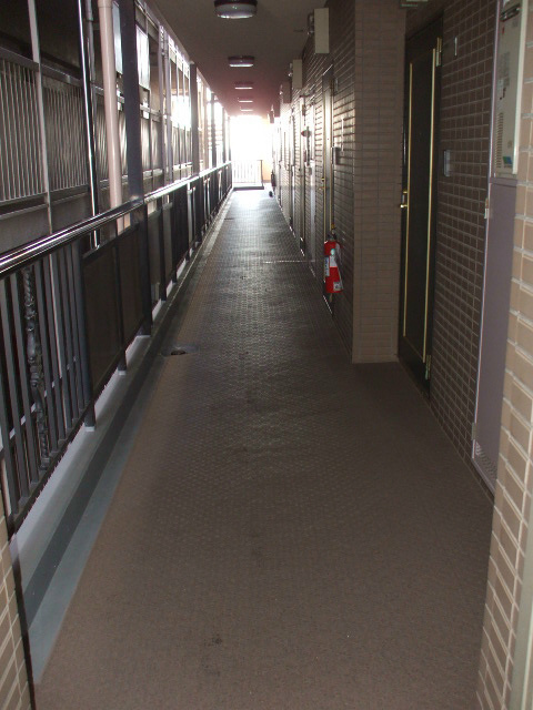 マイキャッスル新高円寺の外観