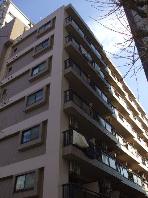 マイキャッスル新高円寺の外観