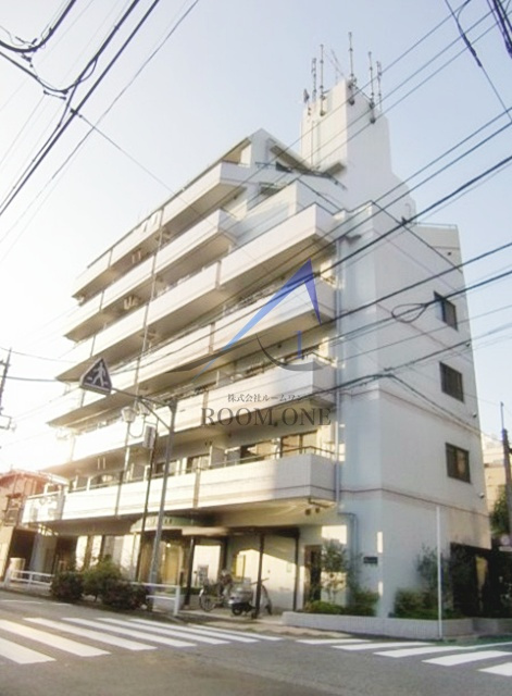 ベルカーサカモチ