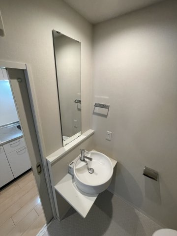 エマーレ永山の洗面所