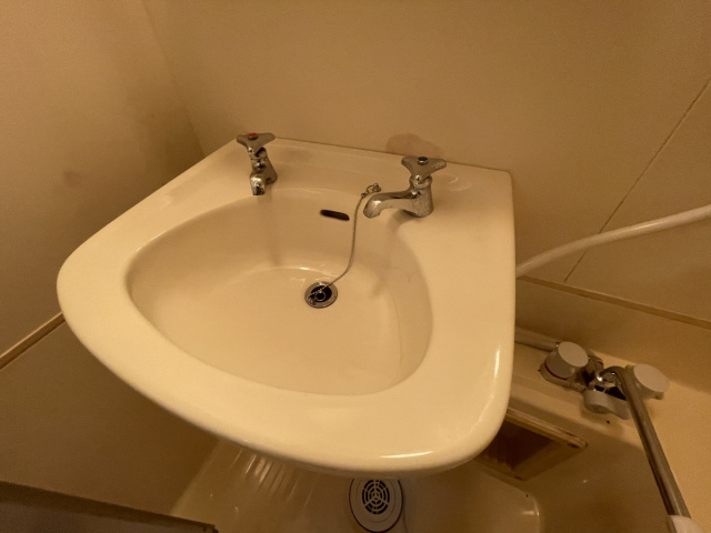 オギタビルの洗面所