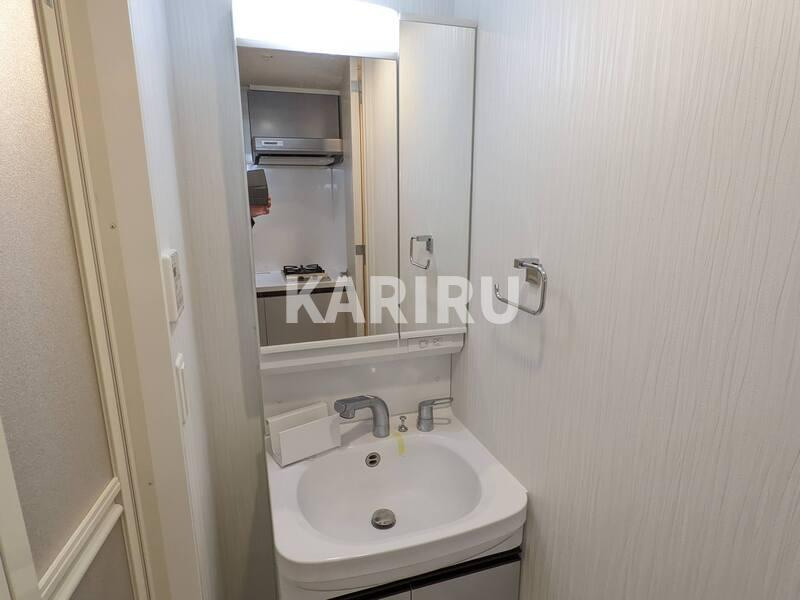 レジュールアッシュ都島ブリーゼの洗面所