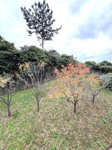 SHICHIRIGAHAMA PARK HOMES  – 湘南の海と陽光を感じる最上階レジデンス –の展望