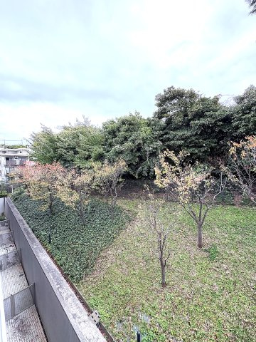 SHICHIRIGAHAMA PARK HOMES  – 湘南の海と陽光を感じる最上階レジデンス –の展望