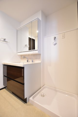 プレジオ帝塚山の洗面所