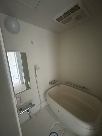 ゼニスレジデンス難波南の浴室