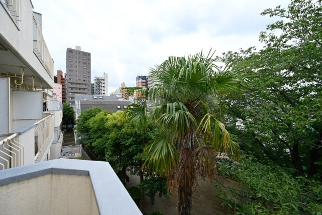 メゾン・ド・ブリーヤンの展望