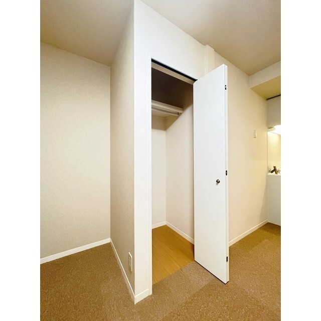 レガーロ　C棟の収納