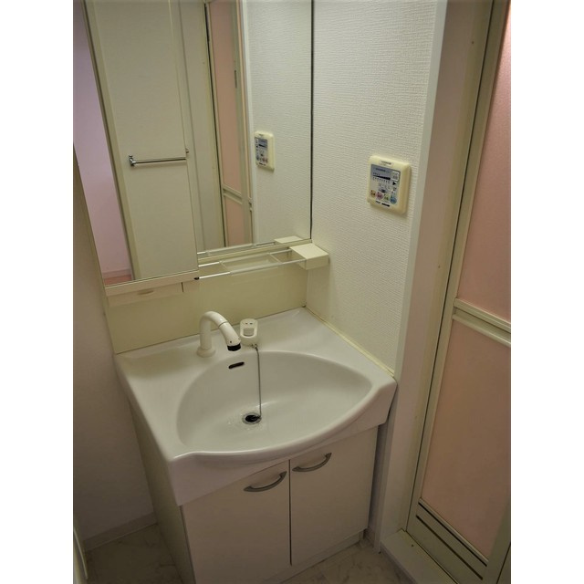 ヒューマンハイム亀戸ＩＩの洗面所