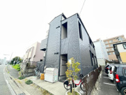 ミニステラの画像