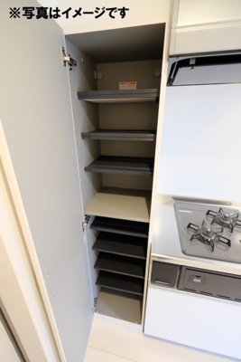 【玄関】 | ミニステラ