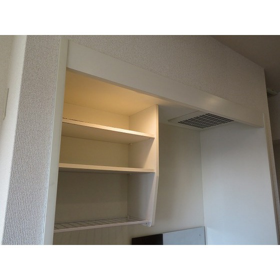 ラ・フロレスタ壱番館の収納|キッチン棚