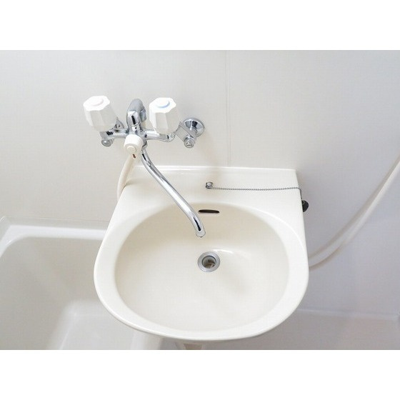 ラ・フロレスタ壱番館の洗面所|洗面ボール