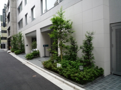 コスモグラシア人形町