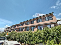 アレグリーアＫの画像