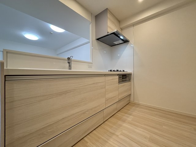 ライオンズステージ大島ウエストアクエアのキッチン