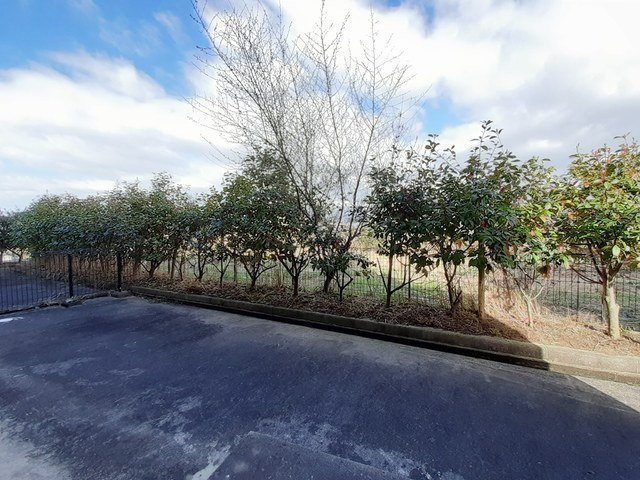 ヴィラ・アンジェＢの庭|簡単な家庭菜園も楽しめるお庭です