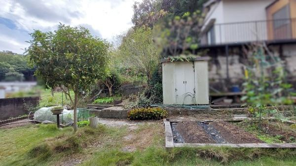 和歌山市坂田　中古戸建の庭