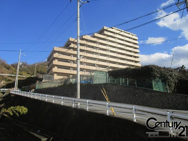 ジョイネス柏原の外観|■現地撮影写真■緑豊かな落ち着きある住環境です！お気軽にお問い合わせください！