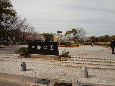 高浜市神明町第５　新築一戸建のその他|中部公園まで徒歩約13分。
広々とした公園です。時期によってイベントも開催されます。