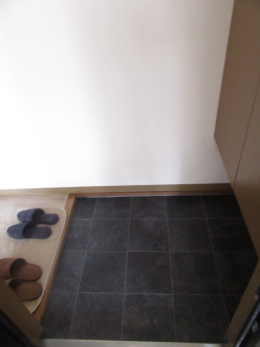 メゾン・ド・ベルベット　Bの玄関