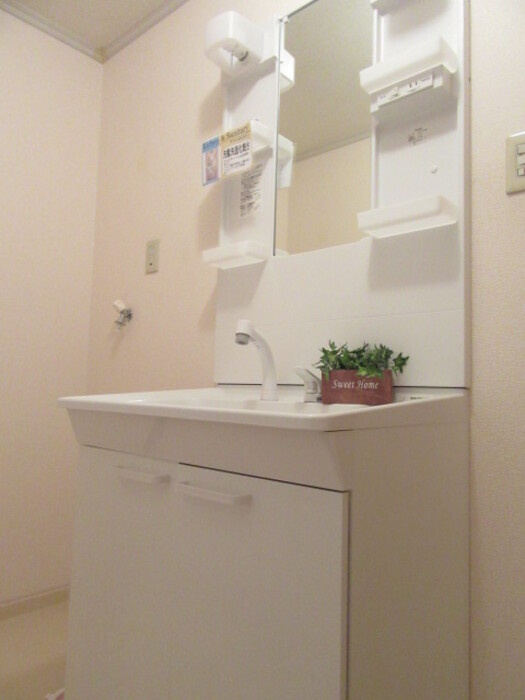 メゾン・ド・ベルベット　Bの洗面所