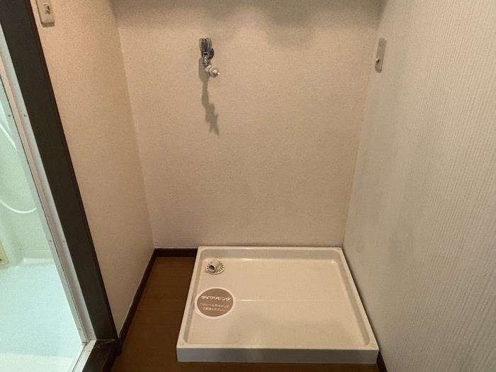 大安寺マンションの玄関