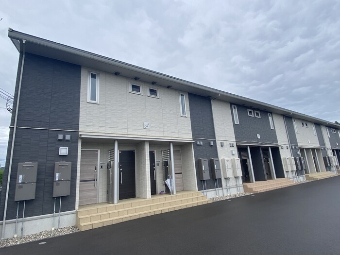 キキョウK.T／ツバキK.T　キキョウK.T