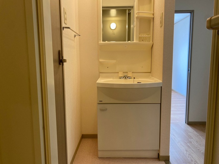 ロイヤルシャトー神中の洗面所